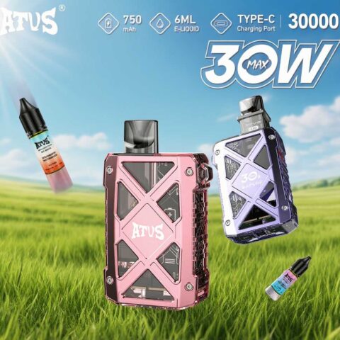 DE012MAX Cigarette électronique Jetable Puff 16000, 18000, 25000, 30000 Taff Pod Kit Puff Taff avec Meilleur prix ATVS Vape