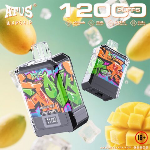 DE013A Cigarette électronique jetable Puff 12000 Taff Affichage LED débit d'air rechargeable et réglable