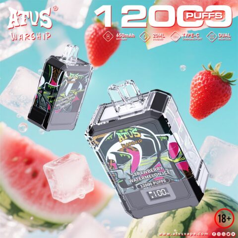 DE013A Cigarette électronique jetable Puff 12000 Taff Affichage LED débit d'air rechargeable et réglable