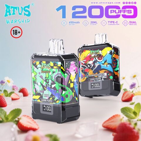 DE013A Cigarette électronique jetable Puff 12000 Taff Affichage LED débit d'air rechargeable et réglable