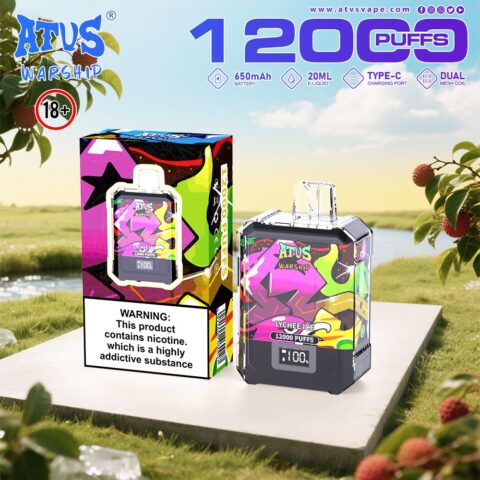 DE013A Cigarette électronique jetable Puff 12000 Taff Affichage LED débit d'air rechargeable et réglable