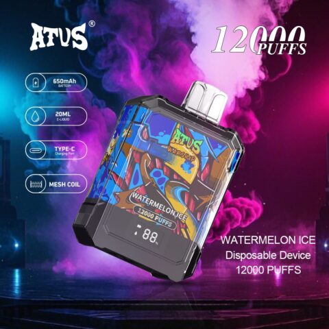 DE013A Cigarette électronique jetable Puff 12000 Taff Affichage LED débit d'air rechargeable et réglable