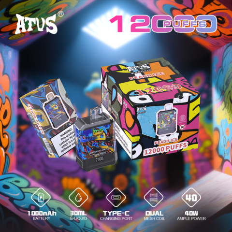 DE013A Cigarette électronique jetable Puff 12000 Taff Affichage LED débit d'air rechargeable et réglable