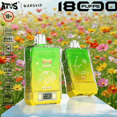 DE015 Cigarette électronique jetable Puff 18000 Taff avec affichage LED débit d'air rechargeable et réglable