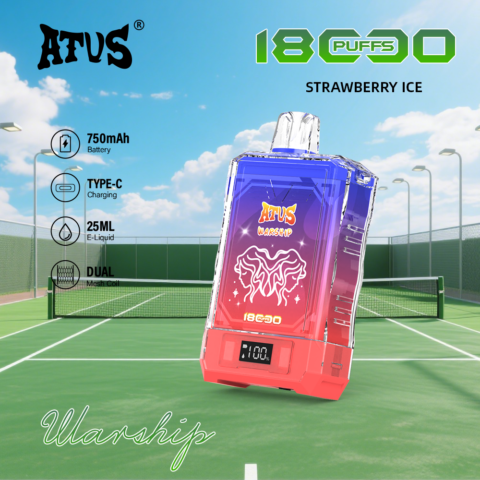 DE015 Cigarette électronique jetable Puff 18000 Taff avec affichage LED débit d'air rechargeable et réglable