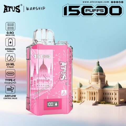 DE017 Cigarette électronique jetable Puff 15000 Taff avec affichage LED débit d'air rechargeable et réglable ATVS Vape