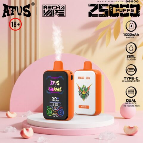 DE021 Cigarette électronique jetable Puff 30000 Taff avec Afficheur LED rechargeable et débit d'air réglable MTL DTL ATVS Vape