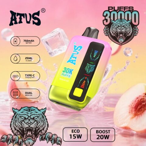 DE026 Vape jetable 30000 bouffées avec écran d'affichage LED et débit d'air réglable ATVS Vape