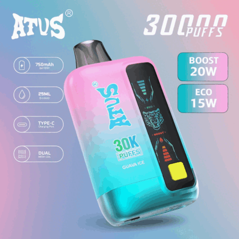 DE026 Vape jetable 30000 bouffées avec écran d'affichage LED et débit d'air réglable ATVS Vape