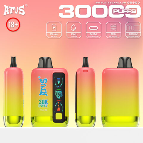 DE026 Vape jetable 30000 bouffées avec écran d'affichage LED et débit d'air réglable ATVS Vape
