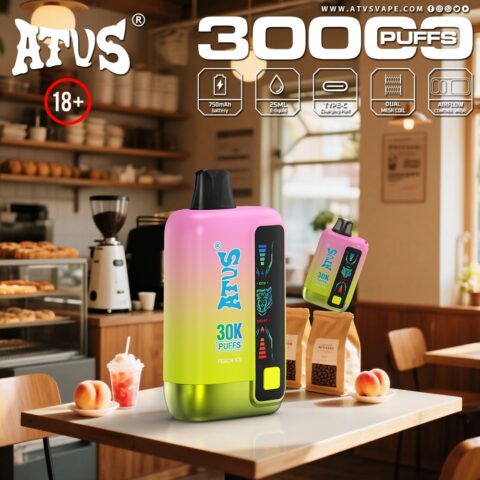 DE026 Vape jetable 30000 bouffées avec écran d'affichage LED et débit d'air réglable ATVS Vape