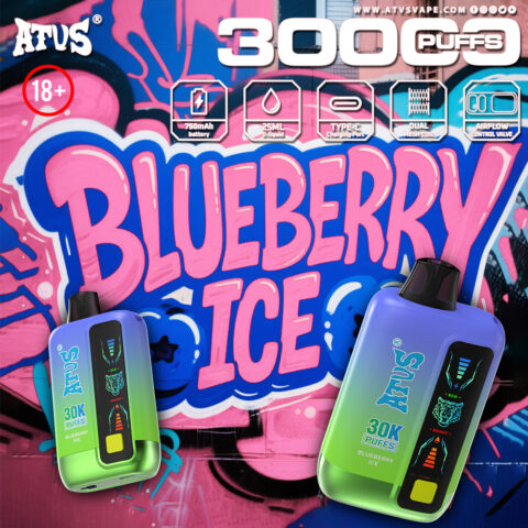 DE026 Vape jetable 30000 bouffées avec écran d'affichage LED et débit d'air réglable ATVS Vape