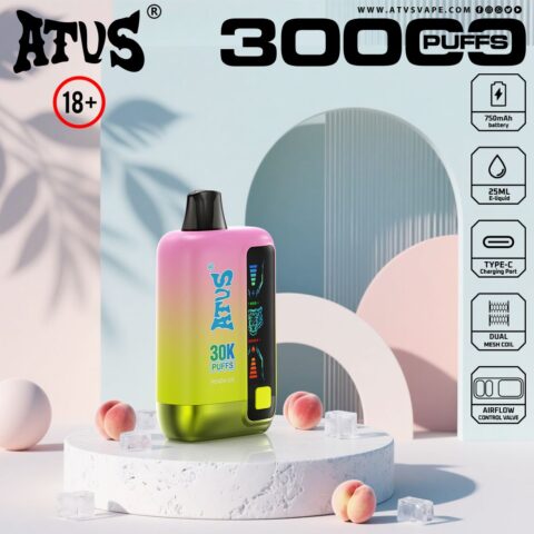 DE026 Vape jetable 30000 bouffées avec écran d'affichage LED et débit d'air réglable ATVS Vape