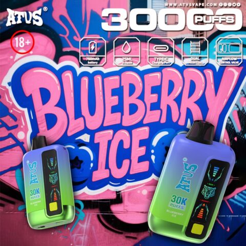 DE026 Vape jetable 30000 bouffées avec écran d'affichage LED et débit d'air réglable ATVS Vape