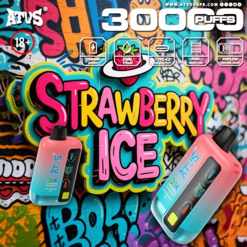 DE026 Vape jetable 30000 bouffées avec écran d'affichage LED et débit d'air réglable ATVS Vape