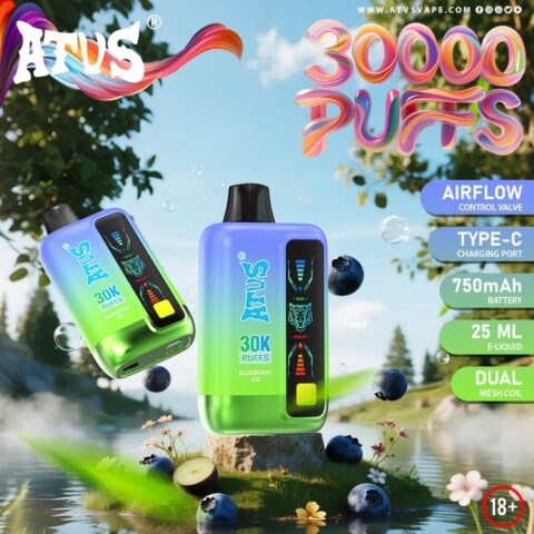 DE026 Vape jetable 30000 bouffées avec écran d'affichage LED et débit d'air réglable ATVS Vape